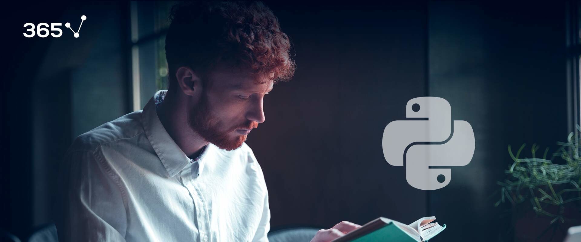 A Comprehensive Introduction to Python: The Ultimate Student's Guide