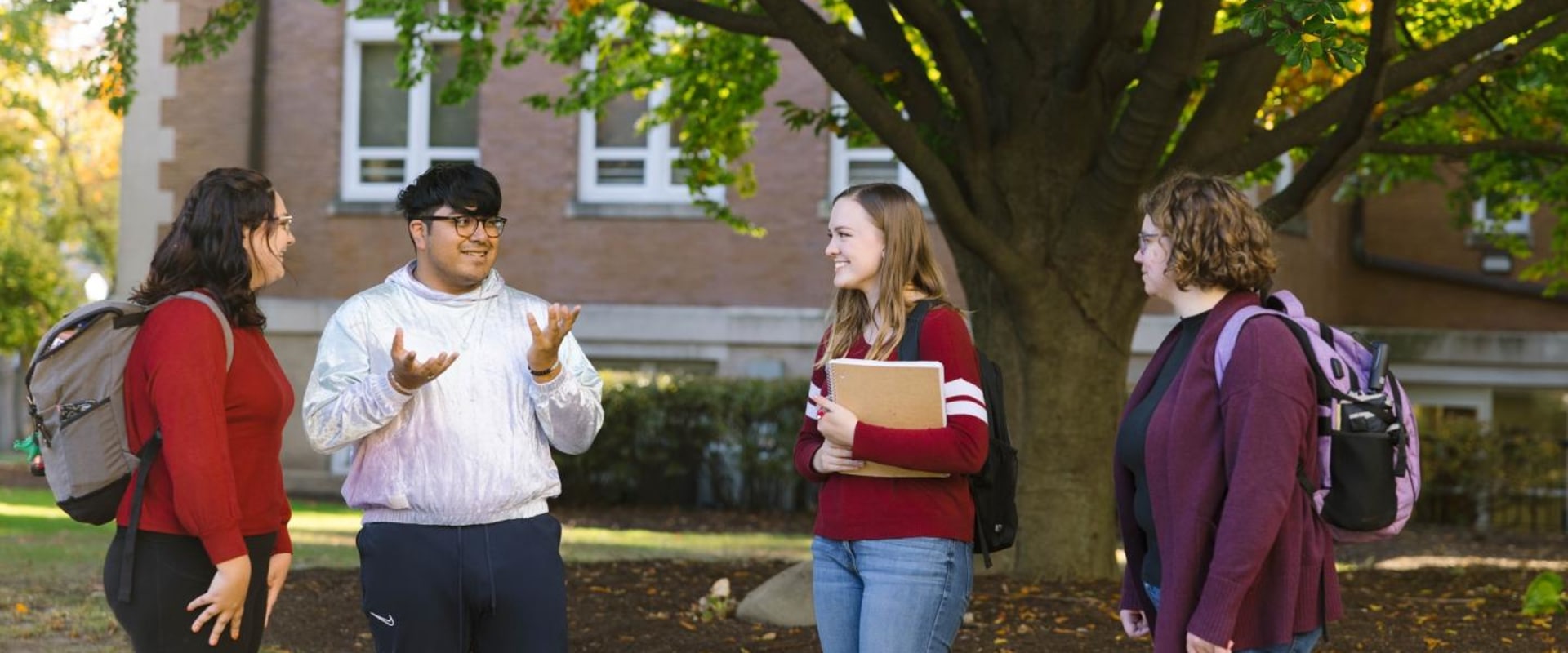 Understanding Descriptive Statistics for Physics, Maths, and Computing Students